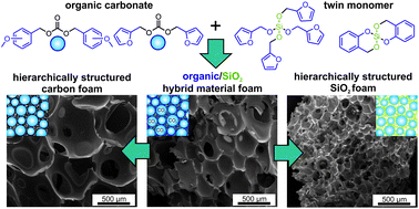 Graphical abstract: Hierarchically structured carbon and silica by chemical foaming