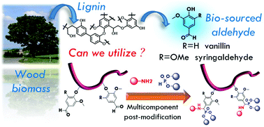 Graphical abstract: Multi-component post-polymerization modification reactions of polymers featuring lignin-model compounds