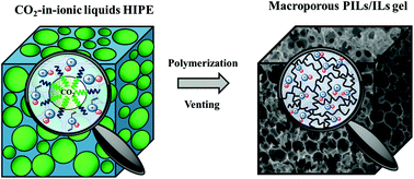 Graphical abstract: Macroporous poly(ionic liquid)/ionic liquid gels via CO2-based emulsion-templating polymerization
