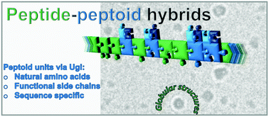 Graphical abstract: Ugi multicomponent reaction to prepare peptide–peptoid hybrid structures with diverse chemical functionalities