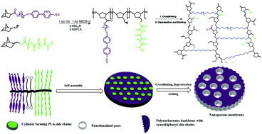 Graphical abstract: Synthesis of ordered, functional, robust nanoporous membranes from liquid crystalline brush-like triblock copolymers