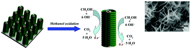 Graphical abstract: A hierarchically structured PtCo nanoflakes–nanotube as an electrocatalyst for methanol oxidation