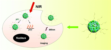 Graphical abstract: AIE luminogen-functionalised mesoporous silica nanoparticles as nanotheranostic agents for imaging guided synergetic chemo-/photothermal therapy