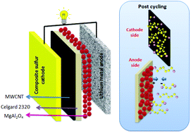 Graphical abstract: High performance multi-functional trilayer membranes as permselective separators for lithium–sulfur batteries