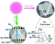 Graphical abstract: Anchoring NaYF4:Yb,Tm upconversion nanocrystals on concave MIL-53(Fe) octahedra for NIR-light enhanced photocatalysis