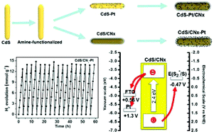 Graphical abstract: Turbostratic carbon nitride enhances the performance and stability of cadmium sulfide nanorod hydrogen evolution photocatalysts