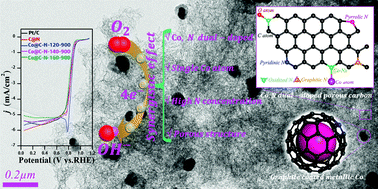 Graphical abstract: Multiple active components, synergistically driven cobalt and nitrogen Co-doped porous carbon as high-performance oxygen reduction electrocatalyst