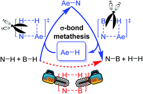 Graphical abstract: Bond dissociation energy controlled σ-bond metathesis in alkaline-earth-metal hydride catalyzed dehydrocoupling of amines and boranes: a theoretical study