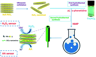Graphical abstract: Electrochemical sensor based on novel two-dimensional nanohybrids: MoS2 nanosheets conjugated with organic copper nanowires for simultaneous detection of hydrogen peroxide and ascorbic acid