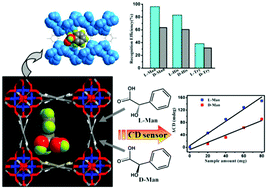 Graphical abstract: Chiral metal–organic frameworks constructed from four-fold helical chain SBUs for enantioselective recognition of α-hydroxy/amino acids