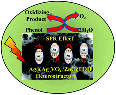 Graphical abstract: Synergistic effects of plasmon induced Ag@Ag3VO4/ZnCr LDH ternary heterostructures towards visible light responsive O2 evolution and phenol oxidation reactions