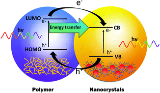 Graphical abstract: Recent development and understanding of polymer–nanocrystal hybrid solar cells