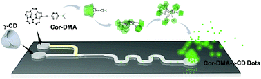 Graphical abstract: All-organic luminescent nanodots from corannulene and cyclodextrin nano-assembly: continuous-flow synthesis, non-linear optical properties, and bio-imaging applications