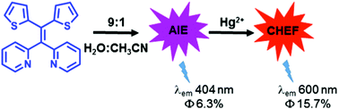 Graphical abstract: A turn-on AIE active fluorescent sensor for Hg2+ by combination of 1,1-bis(2-pyridyl)ethylene and thiophene/bithiophene fragments