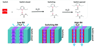 Graphical abstract: Self-adaptive water vapor permeability and its hydrogen bonding switches of bio-inspired polymer thin films