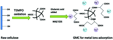 Graphical abstract: A glutamic acid-modified cellulose fibrous composite used for the adsorption of heavy metal ions from single and binary solutions