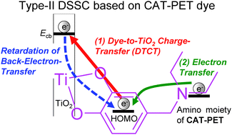Graphical abstract: Photovoltaic performances of type-II dye-sensitized solar cells based on catechol dye sensitizers: retardation of back-electron transfer by PET (photo-induced electron transfer)