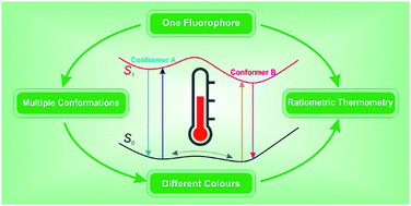 Graphical abstract: Ground-state conformers enable bright single-fluorophore ratiometric thermometers with positive temperature coefficients