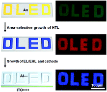 Graphical abstract: Micro organic light-emitting diodes fabricated through area-selective growth