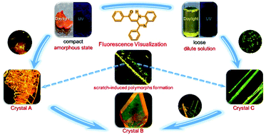 Graphical abstract: Fluorescence visualization of crystal formation and transformation processes of organic luminogens with crystallization-induced emission characteristics