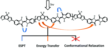 Graphical abstract: Alternating donor–acceptor indigo-cyclopentadithiophene copolymers: competition between excited state conformational relaxation, energy transfer and excited state proton transfer