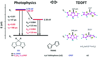 Graphical abstract: Cyclopentadithiophene derivatives: a step towards an understanding of thiophene copolymer excited state deactivation pathways