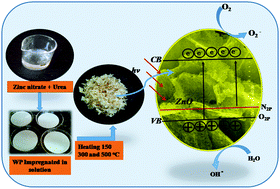 Graphical abstract: Synthesis of porous nitrogen doped zinc oxide nanostructures using a novel paper mediated template method and their photocatalytic study for dye degradation under natural sunlight