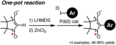 Graphical abstract: A direct synthetic method for (nitronyl nitroxide)-substituted π-electronic compounds via a palladium-catalyzed cross-coupling reaction with a zinc complex