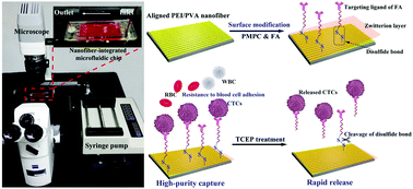 Graphical abstract: Integration of aligned polymer nanofibers within a microfluidic chip for efficient capture and rapid release of circulating tumor cells