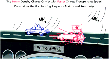 Graphical abstract: The lower rather than higher density charge carrier determines the NH3-sensing nature and sensitivity of ambipolar organic semiconductors