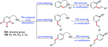Graphical abstract: Recent advances in positional-selective alkenylations: removable guidance for twofold C–H activation