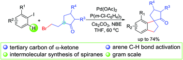 Graphical abstract: Palladium-catalyzed arene C–H activation/ketone C–H functionalization reaction: route to spirodihydroindenones