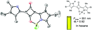 Graphical abstract: Synthesis and fluorescence properties of novel squarylium–boron complexes