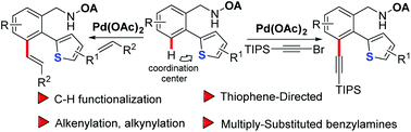Graphical abstract: Pd-Catalyzed thiophene directed regioselective functionalization of arenes: a direct approach to multiply-substituted benzyl amines