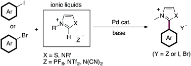 Graphical abstract: Ionic liquids are not innocent in Pd catalysis. C–H arylation of thiazolium and imidazolium ionic liquids with aryl halides