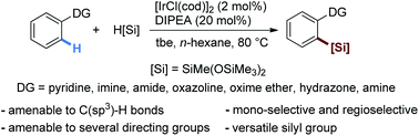 Graphical abstract: Iridium-catalyzed intermolecular directed dehydrogenative ortho C–H silylation