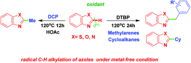 Graphical abstract: Efficient synthesis of 2-substituted azoles: radical C–H alkylation of azoles with dicumyl peroxide, methylarenes and cycloalkanes under metal-free condition