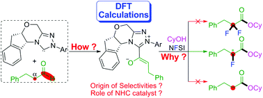 Graphical abstract: Computational study on NHC-catalyzed enantioselective and chemoselective fluorination of aliphatic aldehydes