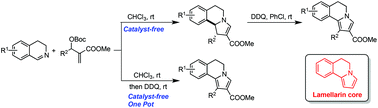Graphical abstract: Catalyst-free [3 + 2] cyclization of imines and Morita–Baylis–Hillman carbonates: a general route to tetrahydropyrrolo[2,1-a]isoquinolines and dihydropyrrolo[2,1-a]isoquinolines