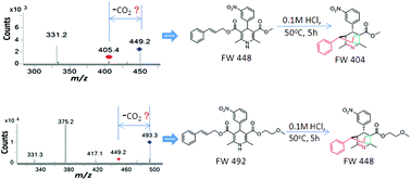 Graphical abstract: An unexpected acid-catalyzed decomposition reaction of cilnidipine and pranidipine to the decarboxylative bridged tricyclic products via cascade rearrangements