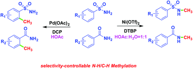 Graphical abstract: Pd/Ni catalyzed selective N–H/C–H methylation of amides by using peroxides as the methylating reagents via a radical process
