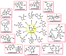 Graphical abstract: Metal-catalyzed enyne cycloisomerization in natural product total synthesis
