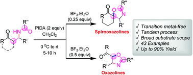 Graphical abstract: Metal-free annulation of β-acylamino ketones: facile access to spirooxazolines and oxazolines via oxidative C–O bond formation