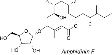 Graphical abstract: Total synthesis of amphidinins E, F and epi-amphidinin F