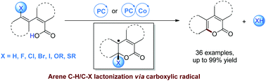 Graphical abstract: Visible-light promoted arene C–H/C–X lactonization via carboxylic radical aromatic substitution