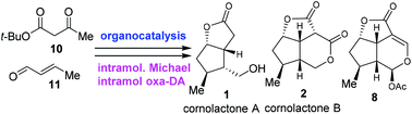 Graphical abstract: Organocatalytic asymmetric synthesis of cornolactones A and B, and formal synthesis of brasoside and littoralisone