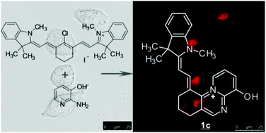 Graphical abstract: Synthesis and optical properties of cyanine dyes with an aromatic azonia skeleton
