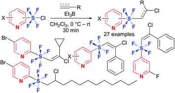 Graphical abstract: Synthesis of pyridine trans-tetrafluoro-λ6-sulfane derivatives via radical addition