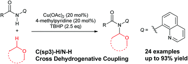 Graphical abstract: Copper-catalyzed α-C–H amidation of simple ethers through C(sp3)–H/N–H cross dehydrogenative coupling