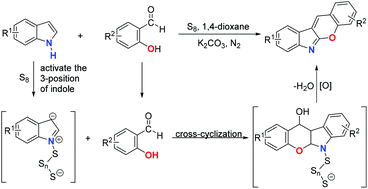 Graphical abstract: Elemental sulfur accelerated the reactivity of the 3-position of indole for the construction of chromeno[2,3-b]indoles